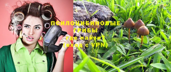 прущий лед Алексин
