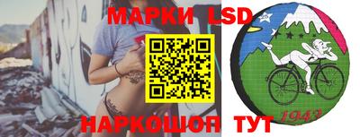 прущие грибы Дубна