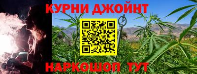 прущие грибы Дубна