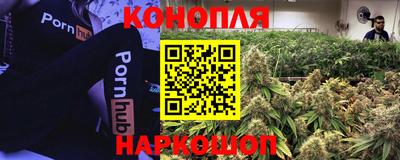 ешки Донецк
