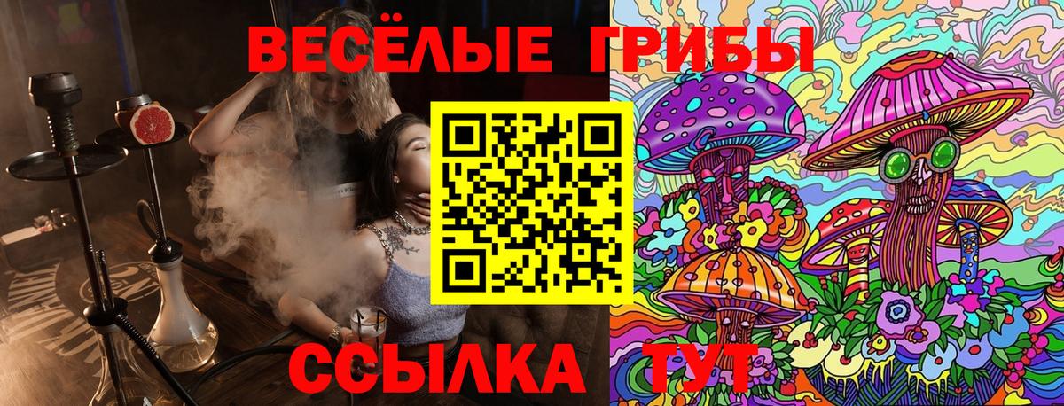 сколько стоит  Галлюциногенные грибы Psilocybe  Вход с VPN  Миасс 